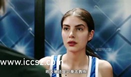 咏春小李爆料视频全集播放,揭秘武术江湖风云录