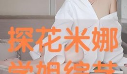 在线观看 探花,揭秘网络观影背后的秘密